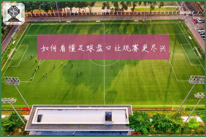 如何看懂足球盘口让观赛更尽兴