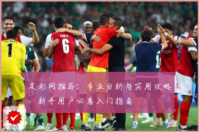 足彩网推荐：专业分析与实用攻略，新手用户必看入门指南