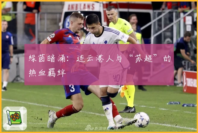 绿茵暗涌：连云港人与“苏超”的热血羁绊