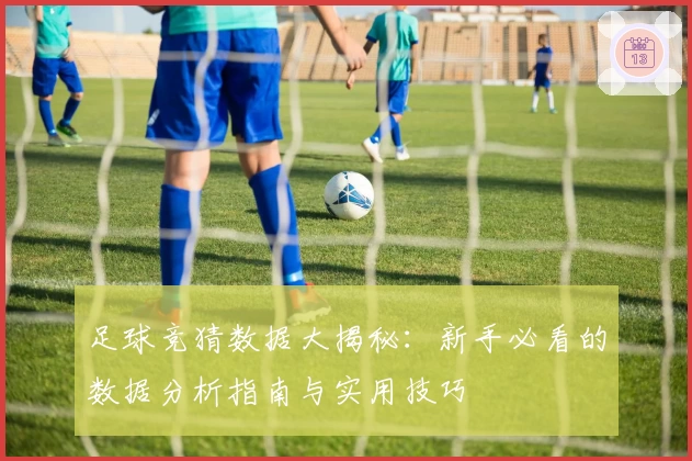 足球竞猜数据大揭秘：新手必看的数据分析指南与实用技巧