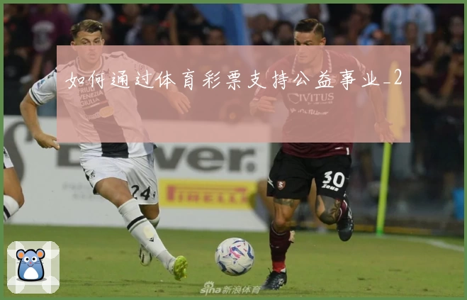如何通过体育彩票支持公益事业_2