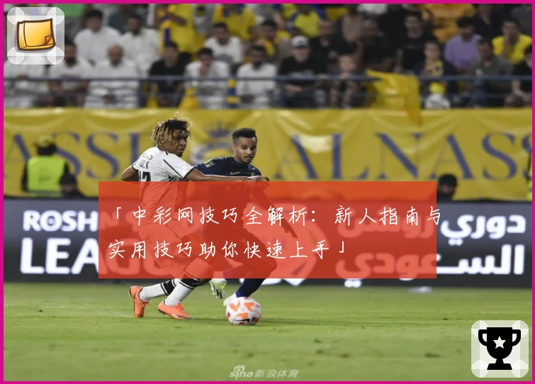「中彩网技巧全解析：新人指南与实用技巧助你快速上手」