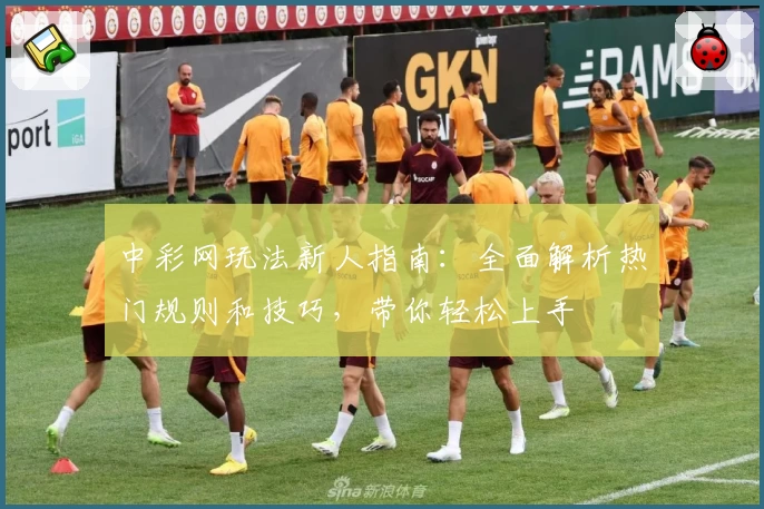 中彩网玩法新人指南：全面解析热门规则和技巧，带你轻松上手