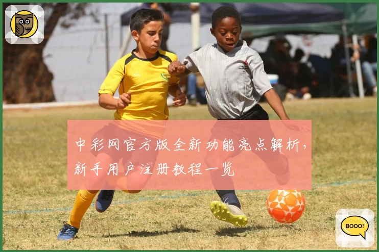 中彩网官方版全新功能亮点解析，新手用户注册教程一览